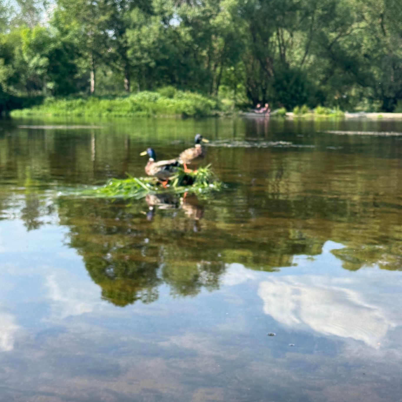 kanu straubing