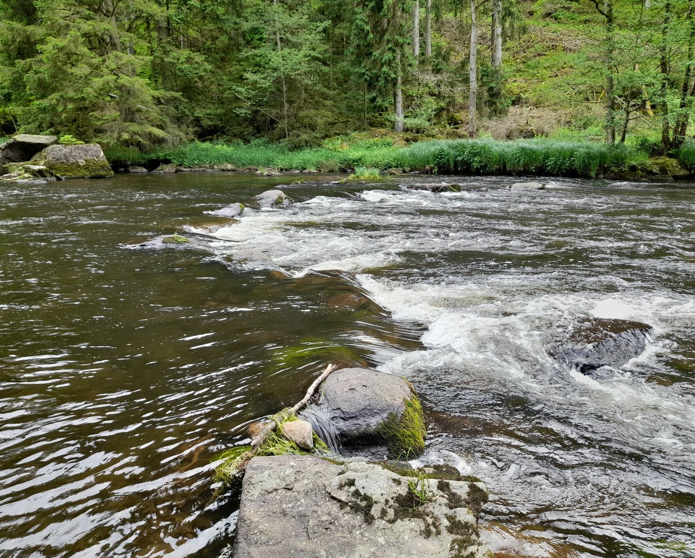 kanu bärenloch