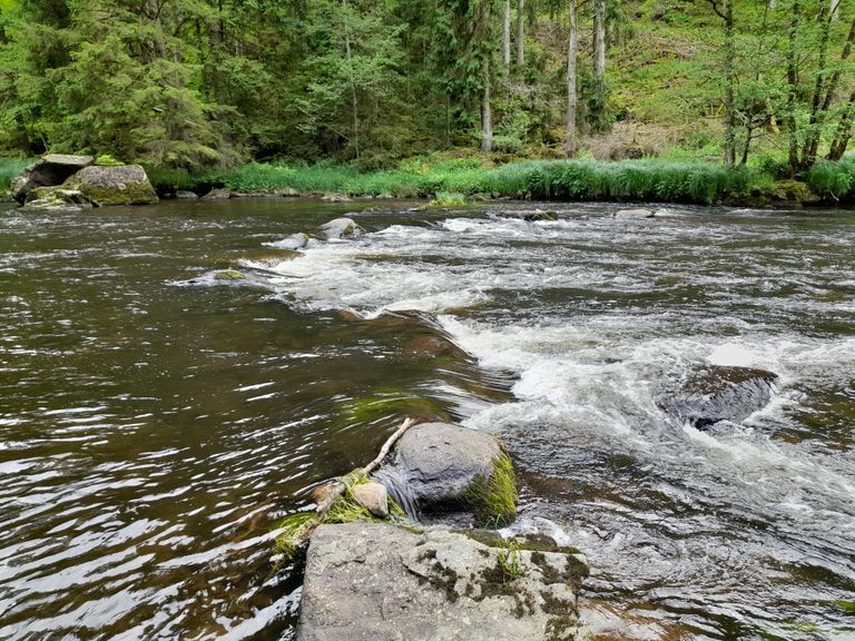 kanu bärenloch bayerisch kanada kanu bayerwald