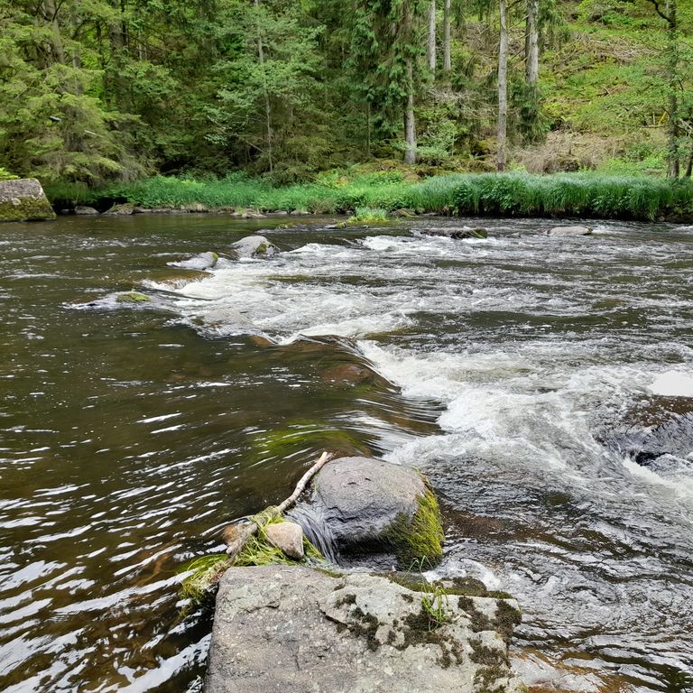 bayerisch kanada kanutour regen kanu viechtach grafenau weiden freyung