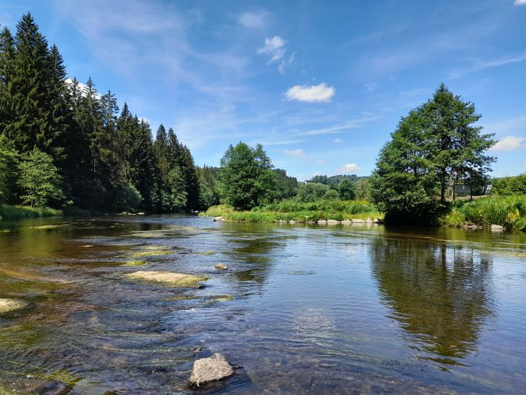 kanu urlaub bayern bayerischer wald bayerisch kanada